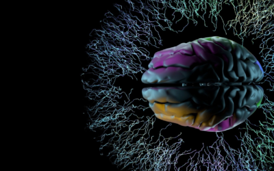 OpenAI lance aujourd’hui la publicité sur ChatGPT : faut-il s’inquiéter ?